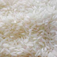 Swarna Rice