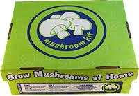 Grow you own mushroom