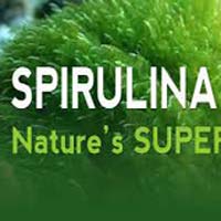 spriluna Capsule