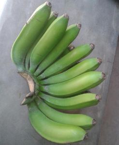 Fresh Green Banana