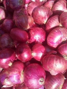 Fresh Red Onion