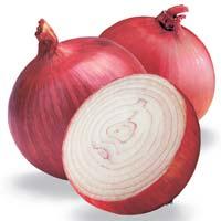 Onion