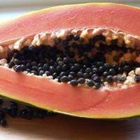 Papaya