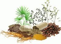 Herbal Food Supplements