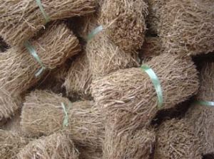 Vetiver Root