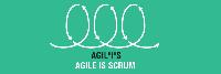 Distributed Agile Software Development Services