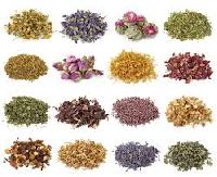 herbal raw material