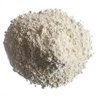 Dried Brine Garlic Powder