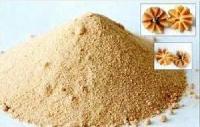 Spray Dried Sapodilla Powder