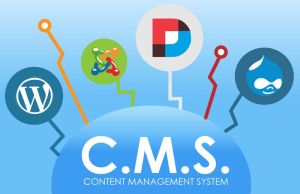 cms design