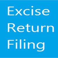 Excise Return Filing Services