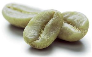 green coffee seeds