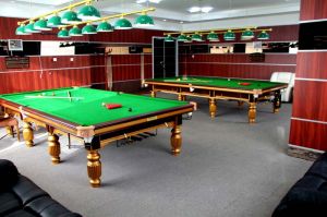 Imported Billiard Table