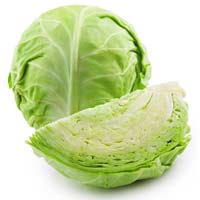 Fresh Cabbage