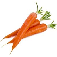 Fresh Carrot