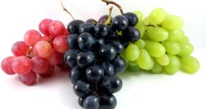 Fresh Grapes