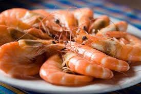 Prawn