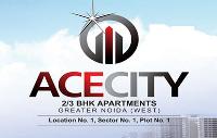 Ace City