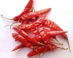 Dried Red Chilli