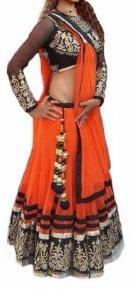 Embroidered Lehenga Choli