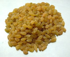 Nashik Brown Round Raisins