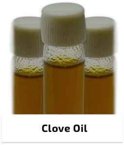 Clove Oil Supercritical CO2 extract