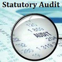 statutory audit services