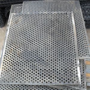 Bagacillo Separator Screens