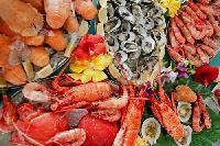 marine foods
