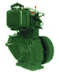 Water Cooled Diesel Generator