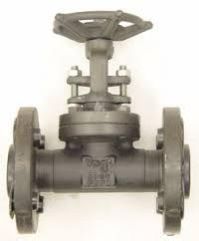 Forged Steel Gate Valve