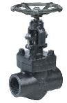 Forged Steel Globe Valve