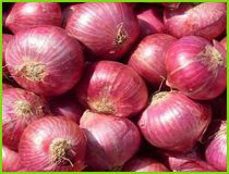 Red Onion