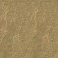 Rajgreen Sandstone