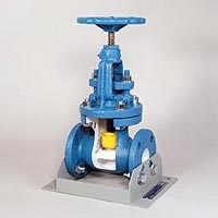 Globe Valve Servicing