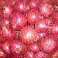 Fresh Onion