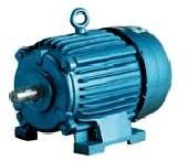 Induction Electric Motors