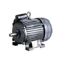 Induction Electric Motors