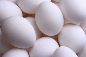 White Shell Poultry Eggs