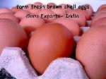 Egg, Brown Egg, Indian Poultry Egg, Brown Shell Egg, Indian White Eggs
