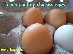 Fresh Eggs, Brown Shell Egg, Indian Farm Fresh Egg, Poultry Table Egg
