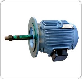 Torque Motor