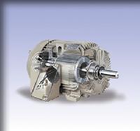 Electrical Motor