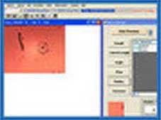 Capture Pro Image Analysis Software