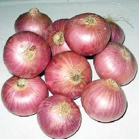 Red Onion