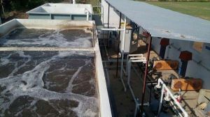 Sewage Treatment Plants