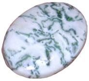 Tree Agate Gemstones