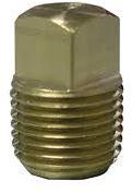 Brass Plug