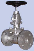 Cast Steel Check Valve