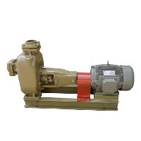 Sewage Pumps